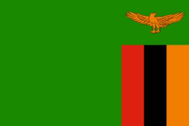 https://wiki.pathfindersonline.org/images/thumb/0/06/Flag_of_Zambia.svg/300px-Flag_of_Zambia.svg.png