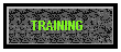 Formal Training, College Courses